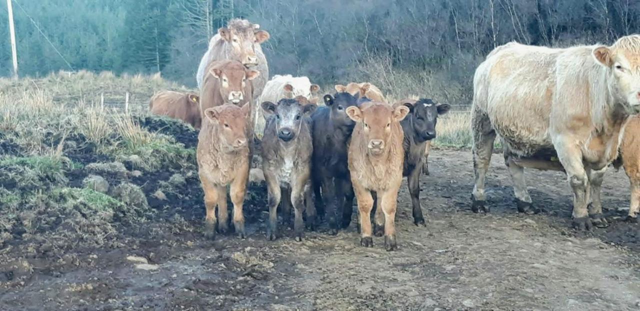 An Cois Na H-Aibhne Apartment Skeabost Bagian luar foto